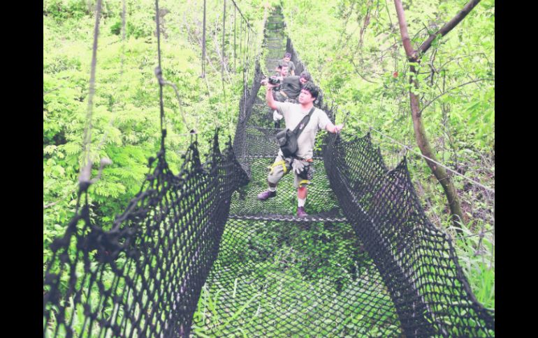 Vértigo. Puente colgante a 50 metros de altura, en el circuito de tirolesas.  /