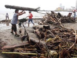 Las corrientes de los ríos Jamapa y Cotaxtla trajeron consigo más de mil toneladas de palizada que pararon en las playas. EL UNIVERSAL  /