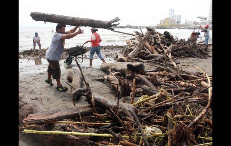 Las corrientes de los ríos Jamapa y Cotaxtla trajeron consigo más de mil toneladas de palizada que pararon en las playas. EL UNIVERSAL  /