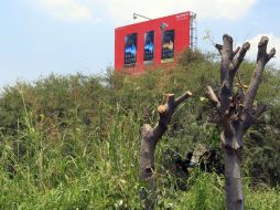 La Zona Metropolitana de Guadalajara padece un déficit de 500 mil árboles, según la Organización Mundial de la Salud. ARCHIVO  /