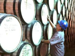 Tequileros del Estado pretenden consolidar el mercado mediante la diversificación del mismo, en el exterior. ARCHIVO  /