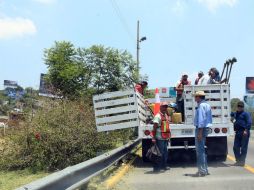 La limpieza o retiro de los residuos arbóreos concluyó durante el fin de semana pasado. ARCHIVO  /