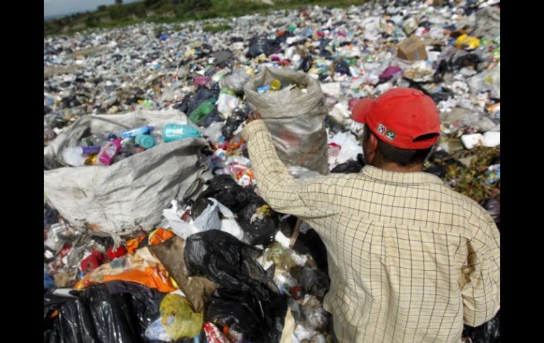 La población debe aferrarse a la separación de basura aunque la autoridad y las empresas no hagan su trabajo.  /