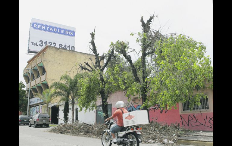 Las denuncias de daños al arbolado urbano incluyen varios casos  en Tlaquepaque; al menos dos en Zapopan, y otros en Guadalajara.  /