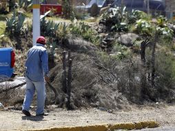 El pasado 4 de agosto sobre la Avenida Lázaro Cárdenas, fueron talados 139 árboles de manera irregular. ARCHIVO  /