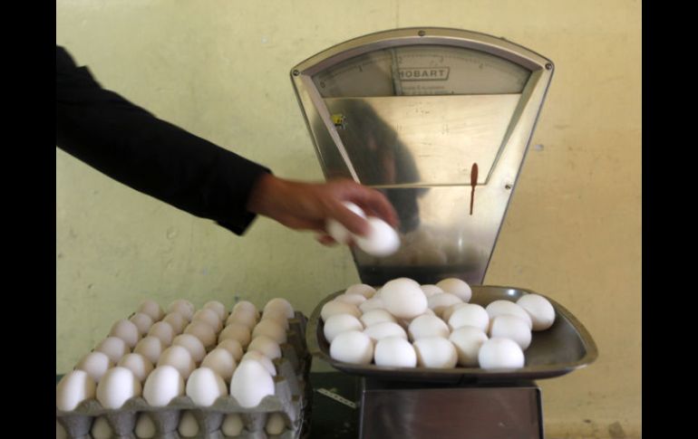 El precio promedio del huevo en las tiendas de autoservicios se ubica en 22 pesos por una canasta de 12 blanquillos. REUTERS  /