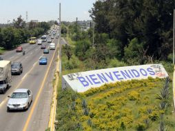 Se acordó cero tolerancia a realizar descuentos sobre multas por tala o poda clandestina de arbolado en espacios públicos. ARCHIVO  /