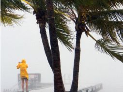 La alerta de huracán fue sustituida por una advertencia de tormenta tropical para los Cayos de Florida. AP  /