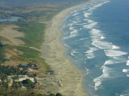 En las zonas cercanas a la costa se encuentra mucha riqueza de microorganismos, pero mar adentro ésta disminuye drásticamente. ARCHIVO  /