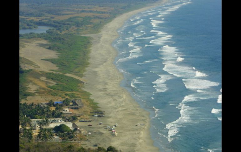 En las zonas cercanas a la costa se encuentra mucha riqueza de microorganismos, pero mar adentro ésta disminuye drásticamente. ARCHIVO  /