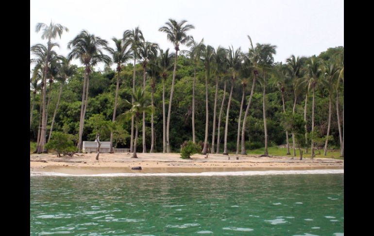 La erosión se aprecia en alrededor del 84 por ciento de las playas ubicadas a lo largo del archipiélago cubano. ARCHIVO  /