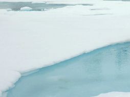 Los científicos esperan ver una pérdida aún mayor del hielo marino en las próximas semanas. ARCHIVO  /