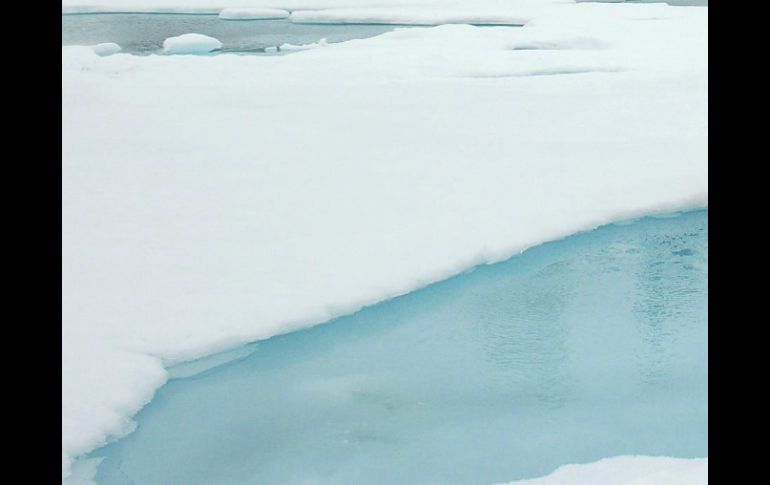 Los científicos esperan ver una pérdida aún mayor del hielo marino en las próximas semanas. ARCHIVO  /