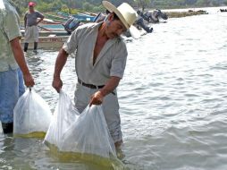 Con estas acciones se pretende propiciar el desarrollo de pesquerías, la pesca deportiva y el eco-turismo en la zona. ARCHIVO  /