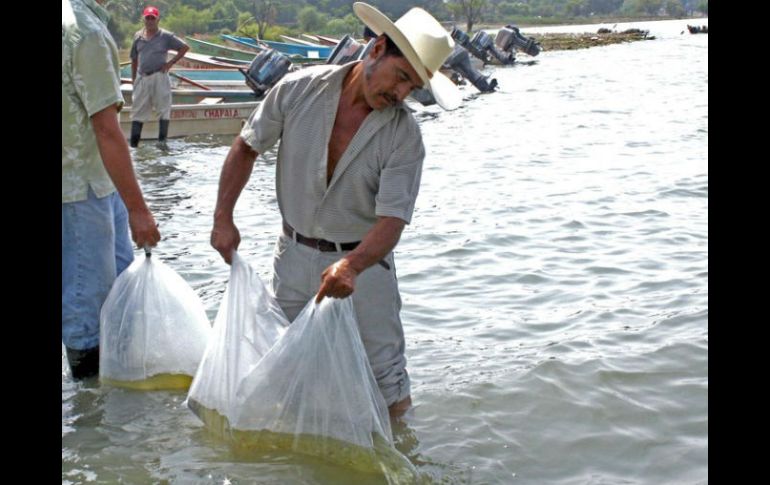 Con estas acciones se pretende propiciar el desarrollo de pesquerías, la pesca deportiva y el eco-turismo en la zona. ARCHIVO  /