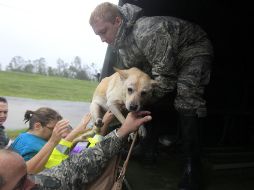 Gente y un perro son rescatdos por los militares y llevados a un albergue. AP  /