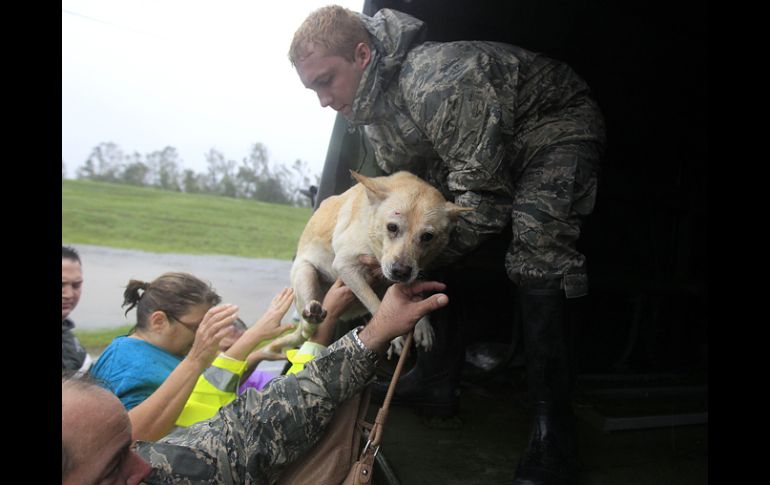 Gente y un perro son rescatdos por los militares y llevados a un albergue. AP  /