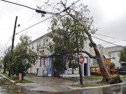 Árboles caídos debido a las lluvias y fuertes vientos del huracán ''Isaac'', en Nueva Orleans. EFE  /