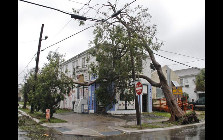 Árboles caídos debido a las lluvias y fuertes vientos del huracán ''Isaac'', en Nueva Orleans. EFE  /