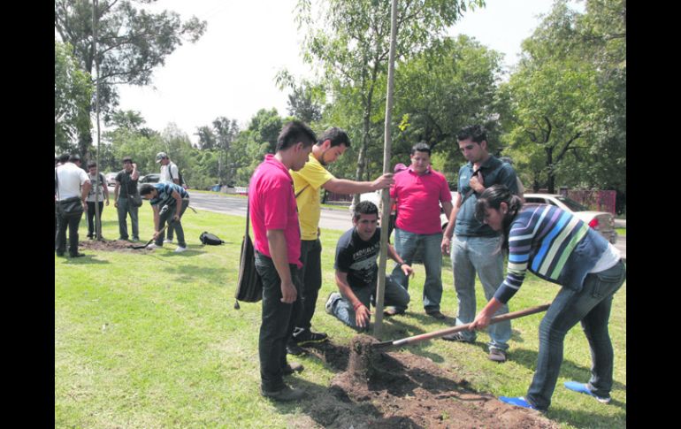 Estudiantes de Uteg participaron en la plantación de 140 fresnos en el camellón de la Avenida Lázaro Cárdenas.  /