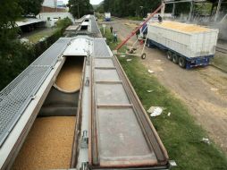 La producción promedio en México de granos y oleaginosas por año agrícola fue de 33 millones 900 mil de toneladas. ARCHIVO  /