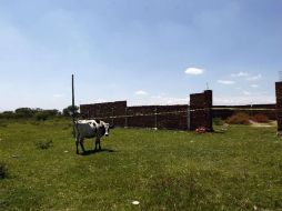 Las personas, que adquieran esos terrenos ejidales, corren riesgos de seguridad y de pérdida de su patrimonio.  /