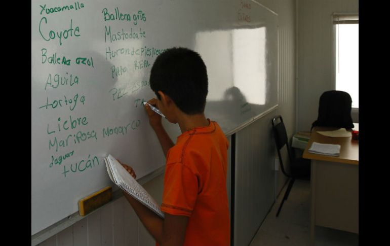 Especialista señala que los papás no están suficientemente al pendiente de los resultados de sus hijos.  /