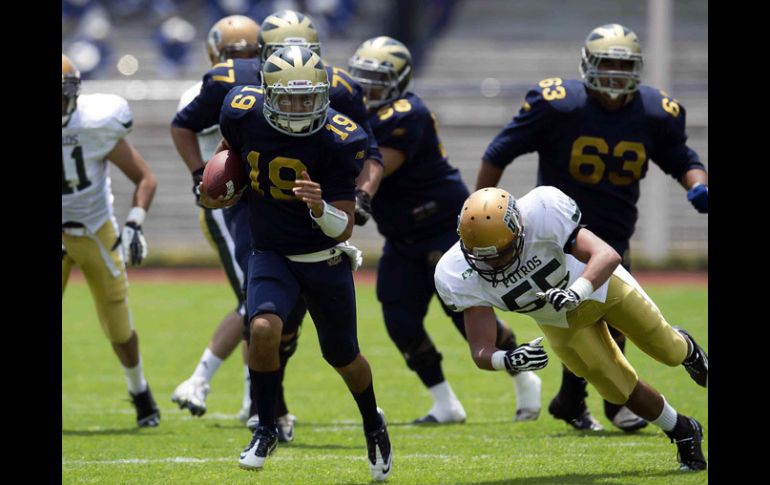 Acción del partido entre Pumas CU y Potros Salvajes en la primera jornada de la ONEFA. MEXSPORT  /