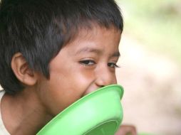 Los niños se alimentan de maíz, en el peor de los casos lamen platos de azúcar cuando no hay comida en zonas marginadas. ARCHIVO  /