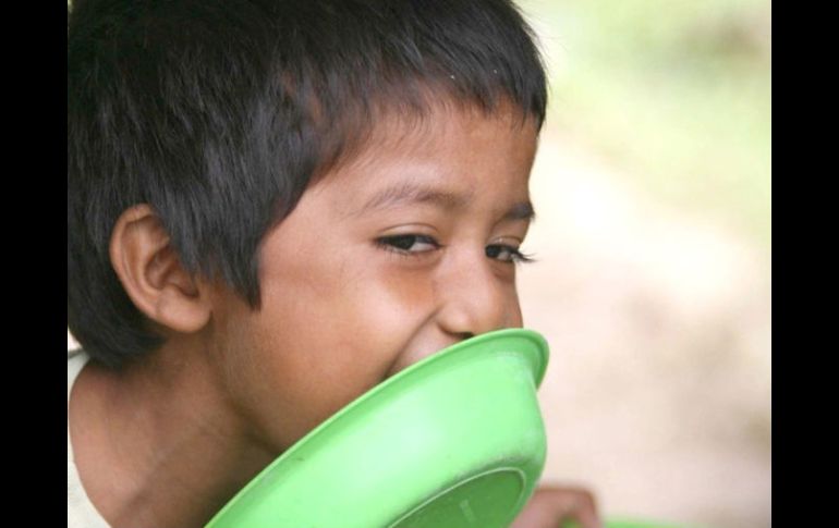 Los niños se alimentan de maíz, en el peor de los casos lamen platos de azúcar cuando no hay comida en zonas marginadas. ARCHIVO  /