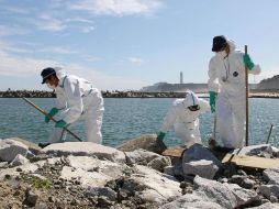 Policías con trajes protectores buscan a los desparecidos en las costas de Fukushima. AP  /