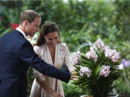 La pareja real disfruta los aromas de la orquídea ''Diana''  en el Jardín botánico de Singapur. EFE  /