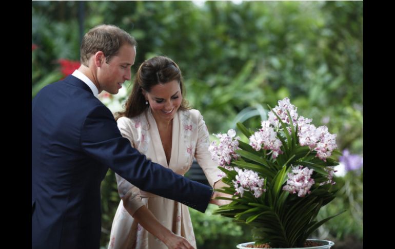 La pareja real disfruta los aromas de la orquídea ''Diana''  en el Jardín botánico de Singapur. EFE  /