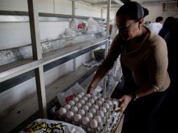 Desde hoy quedó libre de arancel la importación de huevo para consumo humano, seco, congelado o en polvo. XINHUA  /