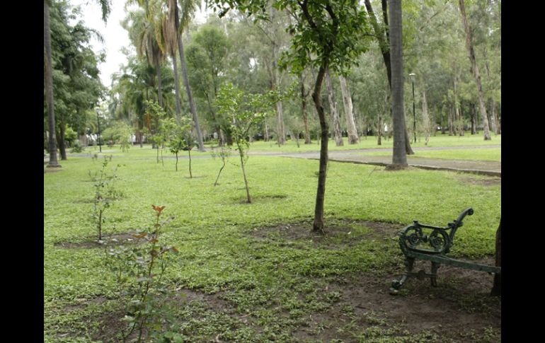 La Semades reconoció que 17 ayuntamientos están en tramites para la aprobación de sus planes. ARCHIVO  /