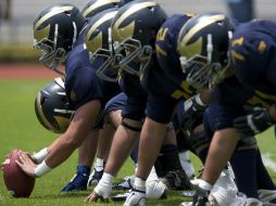 Los Pumas y los Burros Blancos vivirán el Clásico mañana en la ONEFA. MEXSPORT  /