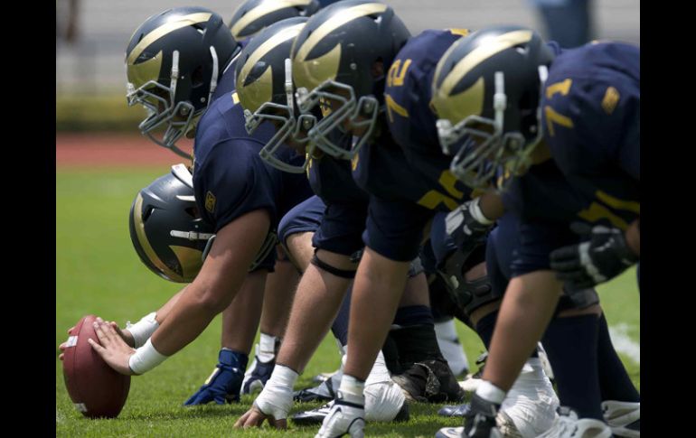 Los Pumas y los Burros Blancos vivirán el Clásico mañana en la ONEFA. MEXSPORT  /