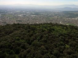 Se garantizará la protección de las áreas naturales protegidas del municipio.  /