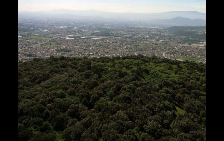 Se garantizará la protección de las áreas naturales protegidas del municipio.  /