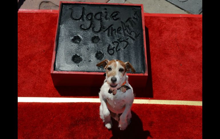 Apenas el pasado junio, Uggie plasmó sus huellas afuera del Teatro Chino de Hollywood. ARCHIVO  /