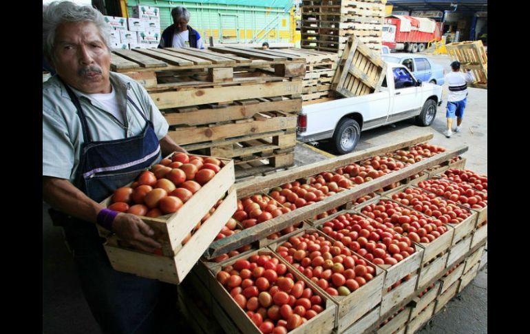 En años recientes, se ha incrementado sustancialmente la producción de jitomate en Jalisco. ARCHIVO  /