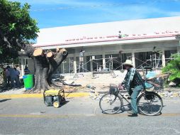 Atados de manos. Árboles con 40 años de edad fueron talados para dar espacio a un estacionamiento.  /