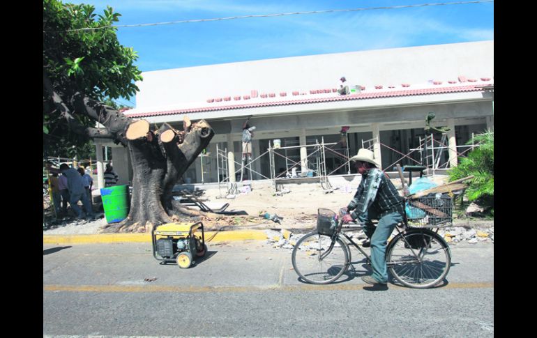 Atados de manos. Árboles con 40 años de edad fueron talados para dar espacio a un estacionamiento.  /