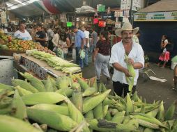 Hasta el momento México no tiene cultivos de maíz genéticamente modificado que hayan sido aprobados para su uso comercial. ARCHIVO  /