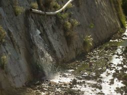 El rastro municipal de Guadalajara no cuenta con un debido manejo de residuos y del agua. ARCHIVO  /