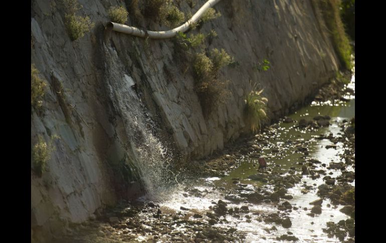 El rastro municipal de Guadalajara no cuenta con un debido manejo de residuos y del agua. ARCHIVO  /