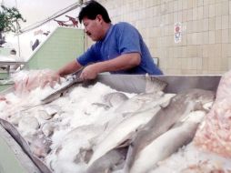 El bagre bassa fileteado se cotiza en el ámbito local entre 60 y 80 pesos el kilogramo, según el punto de venta. ARCHIVO  /