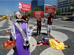 Protesta contra los insecticidas en el marco del Día Mundial de la Alimentación. EFE  /