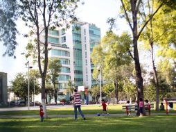 La ONU recomienda por lo menos 15 metros cuadrados (m²) de áreas verdes per cápita en las ciudades; ninguna ciudad mexicana lo cumple.  /