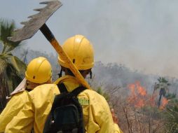 La zona dañada de La Primavera, por el incendio de abril de 2012, se logró restaurar 500 hectáreas del lugar. ARCHIVO  /